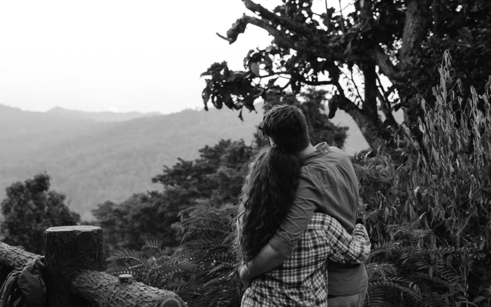 Proceso de consultoría documentado con seguimiento profesional